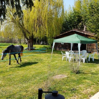 auvent-salon-jardin